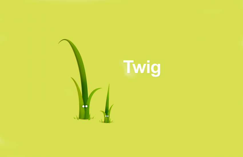 Uso de macros en plantillas Twig